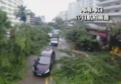视频:红十字会救援台风灾区 酷暑天送棉被遭质