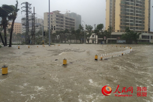 视频:实拍海鸥登陆时海口城区狂风暴雨【4】