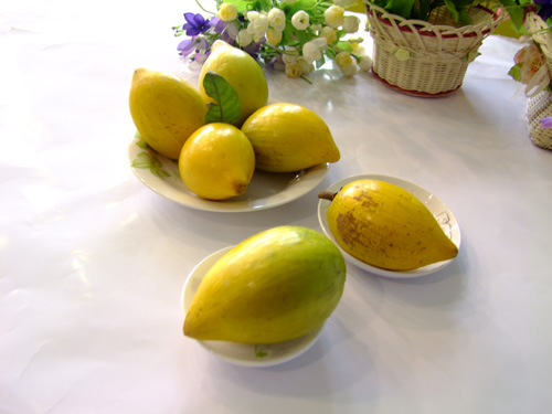 海南旅游必吃的十五种水果