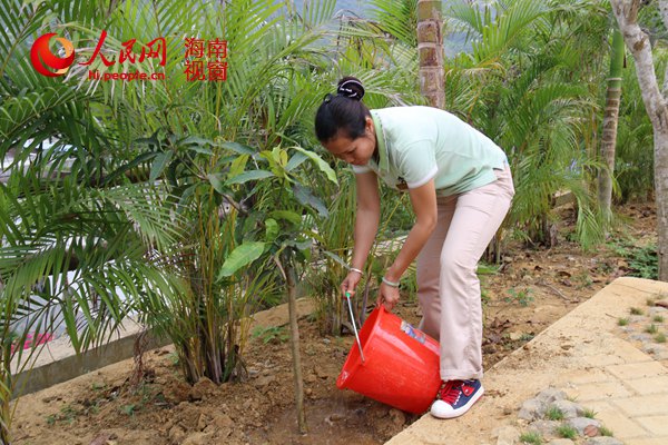 海南槟榔谷三月植树忙 种植芒果树苗108棵