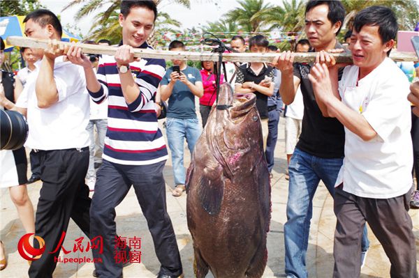 新鲜海鲜鱼_海鲜鱼品种名称及图片_海鲜火锅(4)