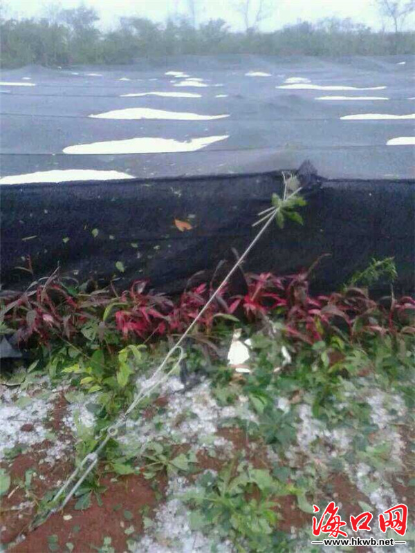 李易峰吴亦凡鹿晗 小鲜肉 男星最帅排行榜