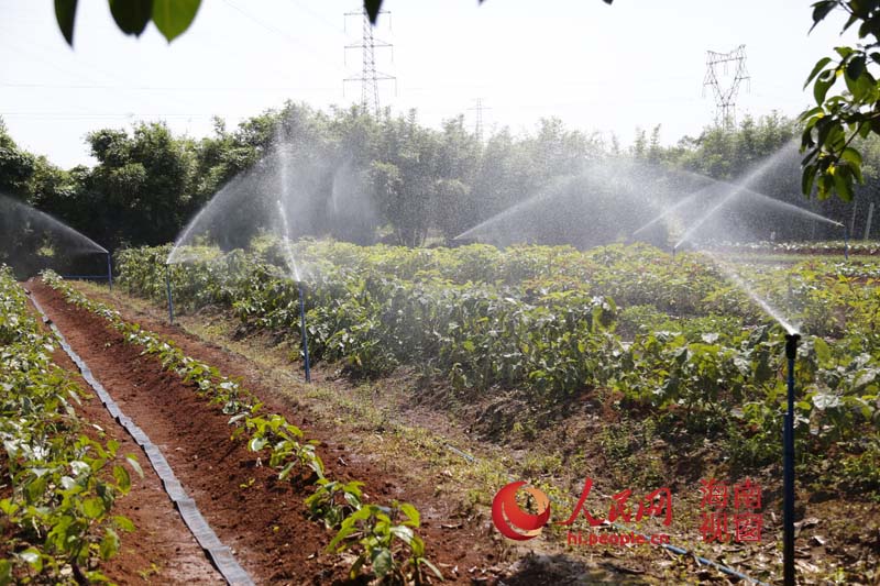 海南开发利用光伏扬水 解决农用水灌水问题
