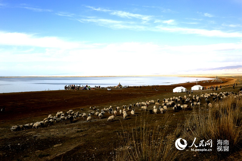 高清:海南网友拍 大美青海 称到处是大片