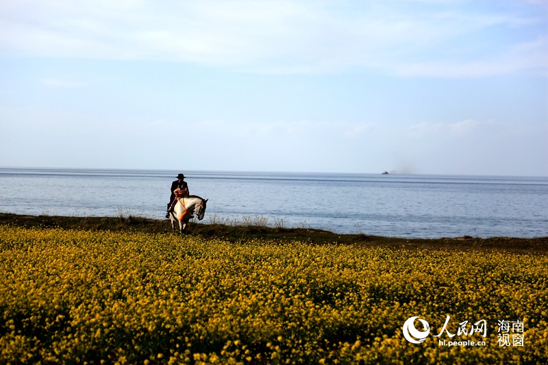 高清:海南网友拍 大美青海 称到处是大片