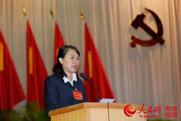 三亚市崖州区第一届区委第二次会议召开