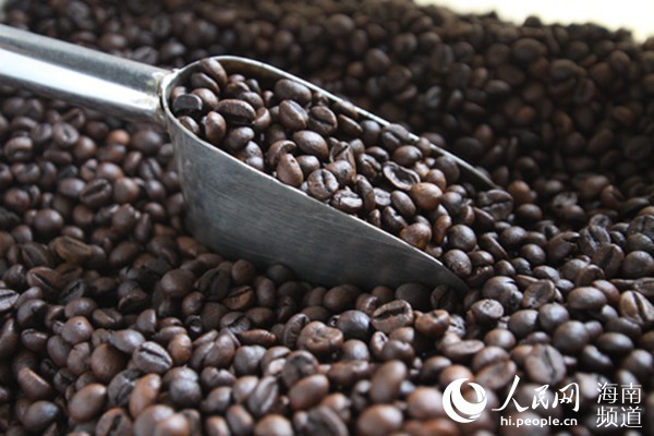 新鮮烘焙出爐的福山咖啡豆