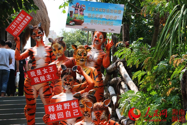 “母老虎”现身三亚千古情景区吸引了近千人围观。