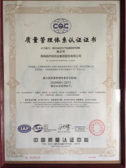 业集团海南生产基地通过ISO9001 质量体系认