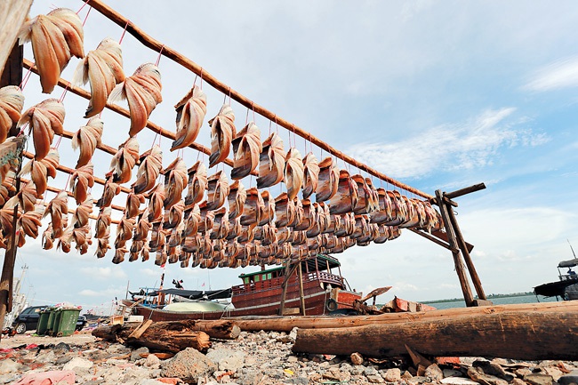 儋州新州镇做大做强优势产业 打造渔业强镇--人