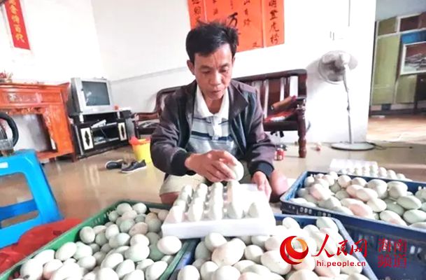 在打包的跑海鴨蛋
