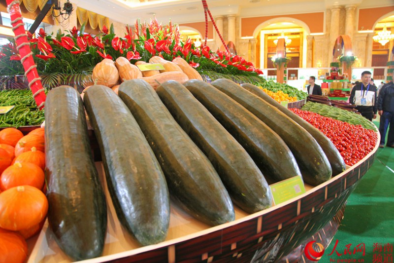 位於主展館的冬季瓜菜展示區