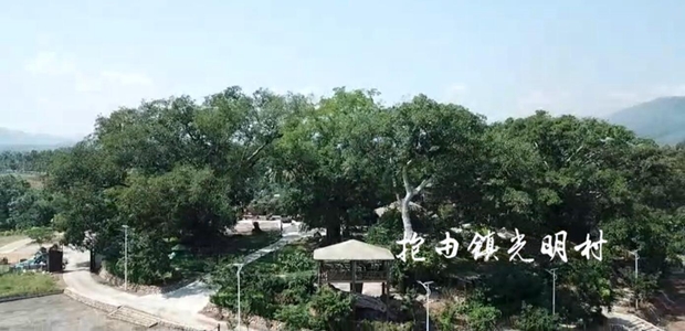 樂東抱由鎮光明村被評為海南省三星級美麗鄉村。