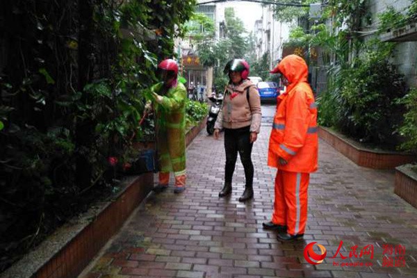 海口滨海新村干净整洁获市民点赞