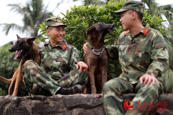 武警海南省总队警犬班的狗年新生活