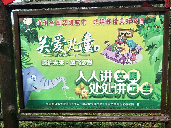 新春佳节海野树文明形象 游客享文明旅游