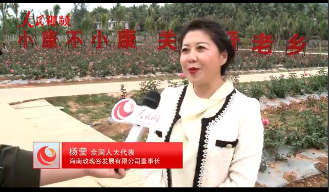 楊瑩代表：按照習總書記指明的方向 帶著老鄉去致富