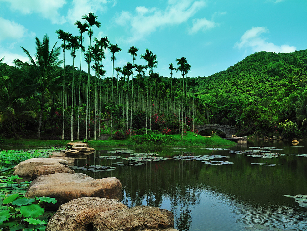 海南呀諾達雨林文化旅游區