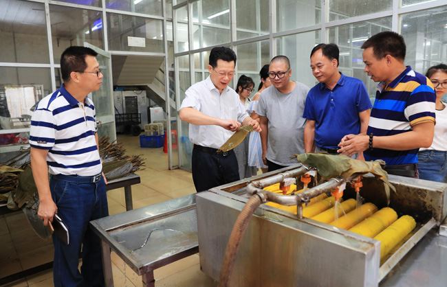 謝雄峰在儋州廣和食品有限公司了解清洗粽葉工序