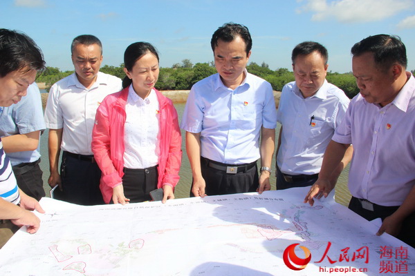 文昌：清瀾紅樹林保護區核心區退塘還林9月底完成