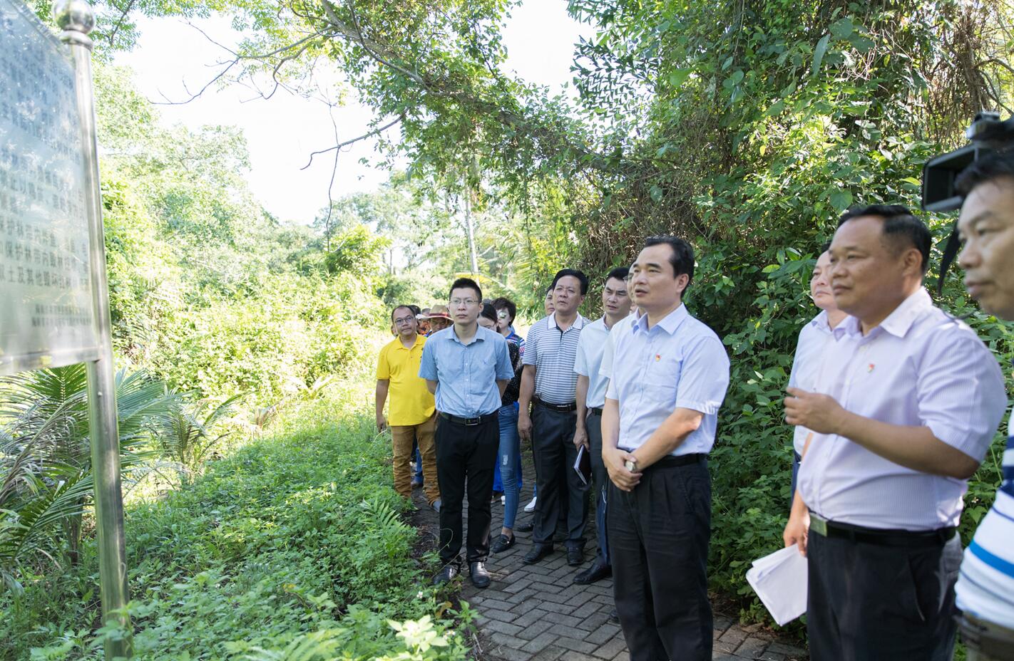 王曉橋帶隊到清瀾紅樹林省級自然保護區調研退塘還林還濕工作