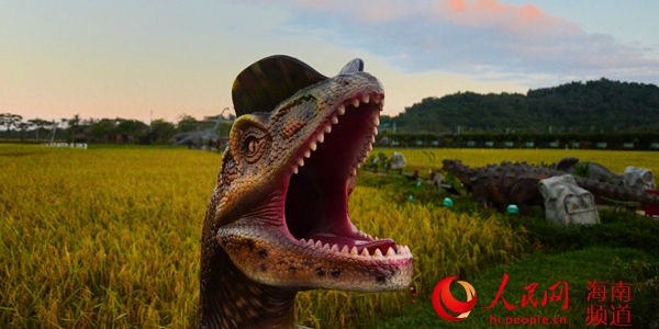 在三亞水稻國家公園的“恐龍”