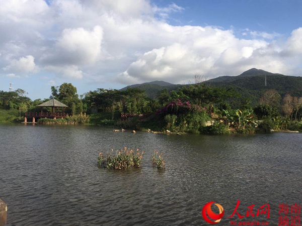 杨建国：全域旅游时代乡村旅游提质升级的“三亚模式”