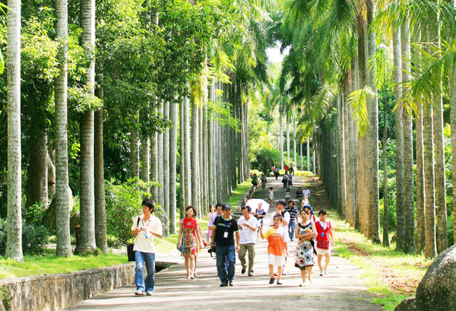 海南熱帶植物園