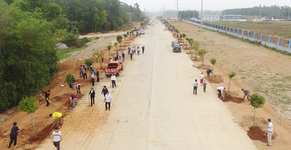 定安开展2019年义务植树月活动 计划义务植树