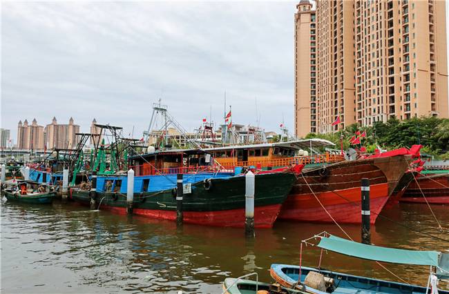 陵水部署防范台風“楊柳”工作 1925艘漁船全部回港