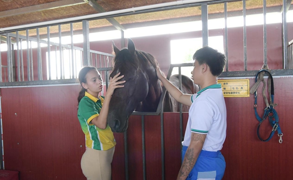 ponyclubСŶӵûȺС