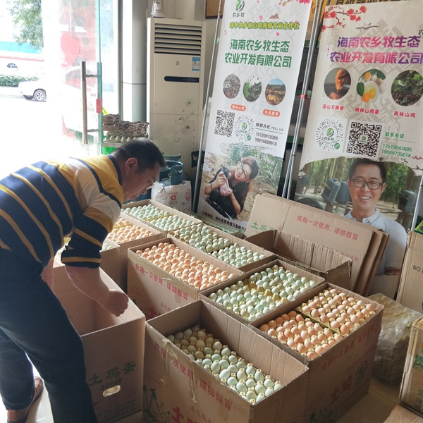 瓊中海南農鄉牧生態農業開發有限公司打包捐贈山雞蛋和綠殼雞蛋