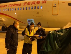 海南航空武漢場站：用堅守盼暖春來