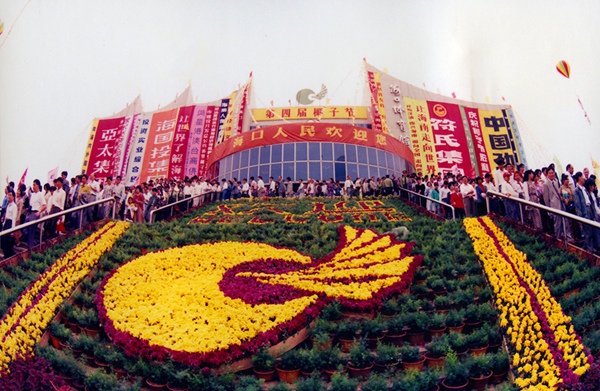 1995年4月，海南省第四屆椰子節在海口體育館舉行。