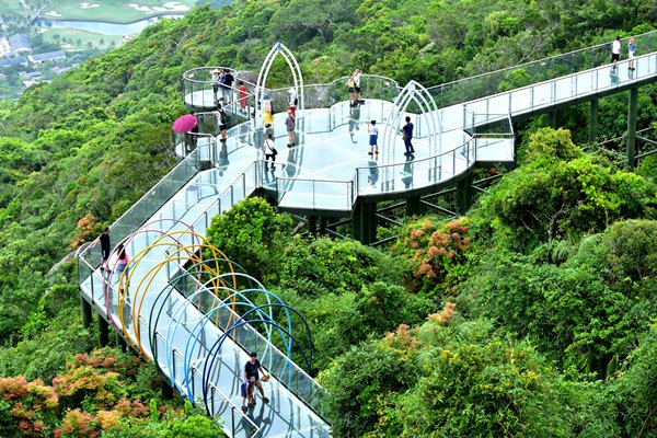 7月10日，游客在亞龍灣熱帶天堂森林旅游區登高望遠，漫步在熱帶雨林之中，感受夏日熱帶雨林特有的清涼環境。（黃慶優攝）