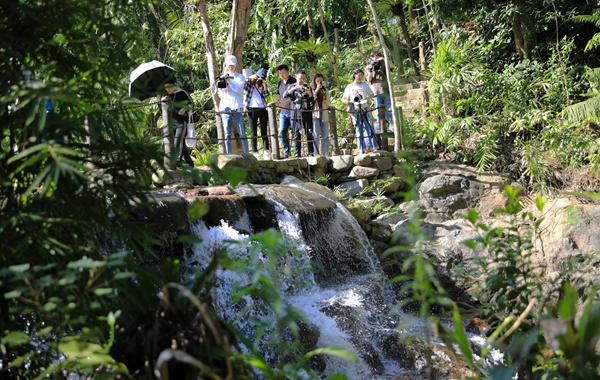瓊中百花嶺熱帶雨林文化旅游區獲評國家4A級旅游景區