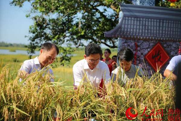 龍華區首屆濕地豐收節啟動 現場農產品熱銷