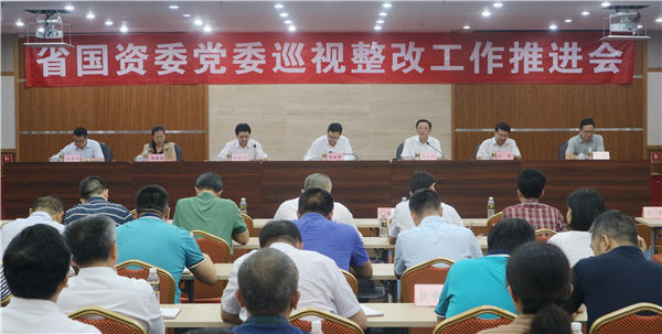 海南省國資委召開省國資委系統巡視整改工作推進會