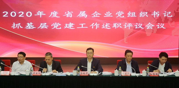 海南省國資委召開2020年度省屬企業黨組織書記抓基層黨建工作述職評議會議