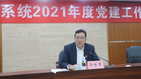 海南省國資委黨委書記、主任馬詠華講話