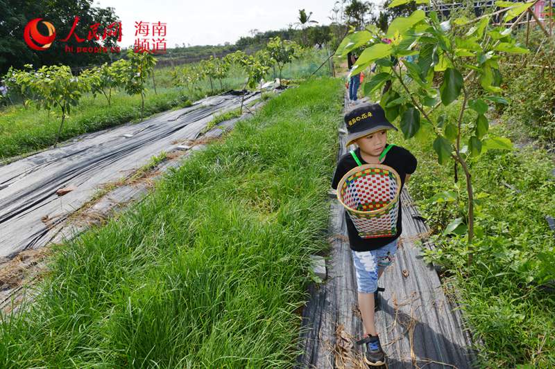 小朋友背起小背簍盡顯萌態。