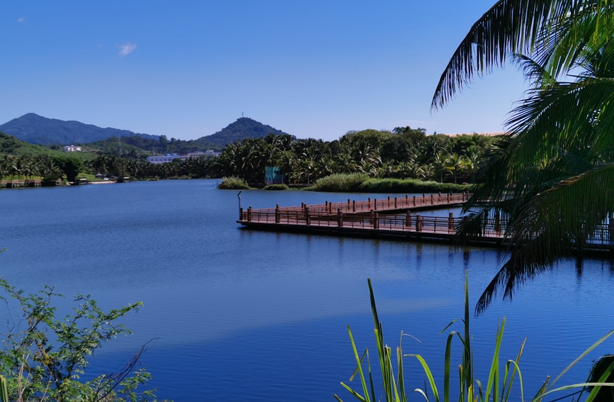 瓊中白鷺湖展現出美麗和諧的生態畫卷