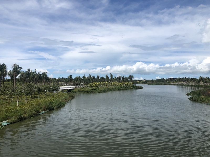 海口芙蓉河昔日的魚塘改造成如今的濕地公園。海南省河長辦供圖