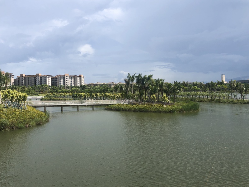 海口芙蓉河昔日的魚塘改造成如今的濕地公園。海南省河長辦供圖