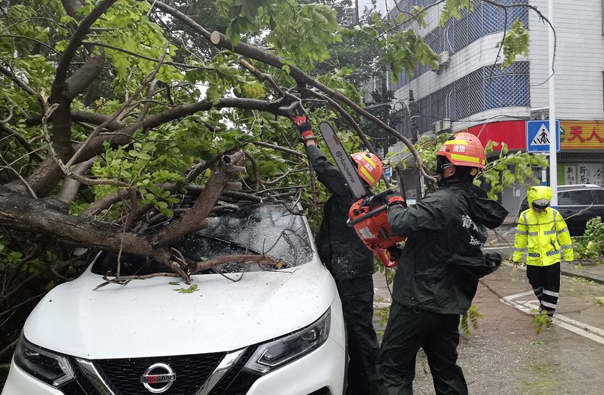 13日，受台風“圓規”影響，瓊海嘉積鎮金山路樹木砸車，瓊海消防人員風雨中緊急處置。