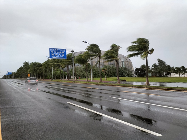 台風過后，海口市園林系統全員上陣，全面清理路障，迅速恢復城市容貌和環境衛生秩序。