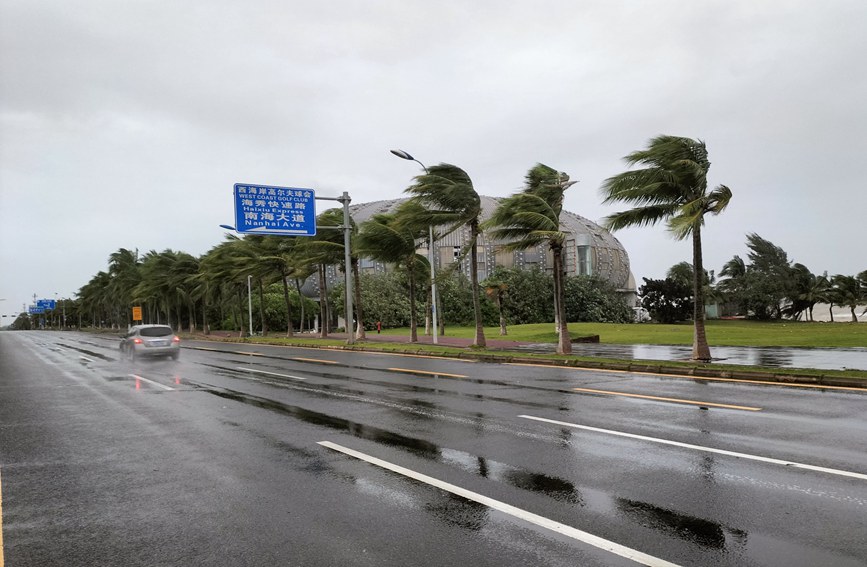 台風“圓規”過境海南，海口街頭樹木被吹彎。