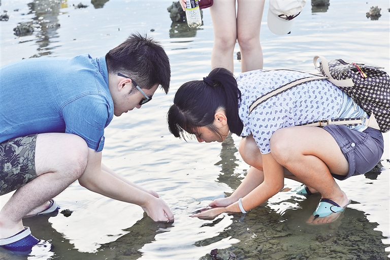 游客在潭門灣海灘體驗“趕海”。瓊海市委宣傳部供圖