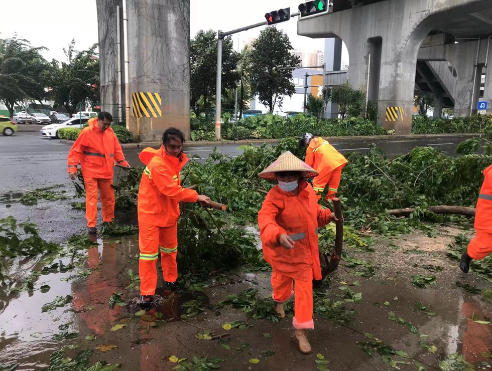 台風后環衛工人清理斷掉的樹枝