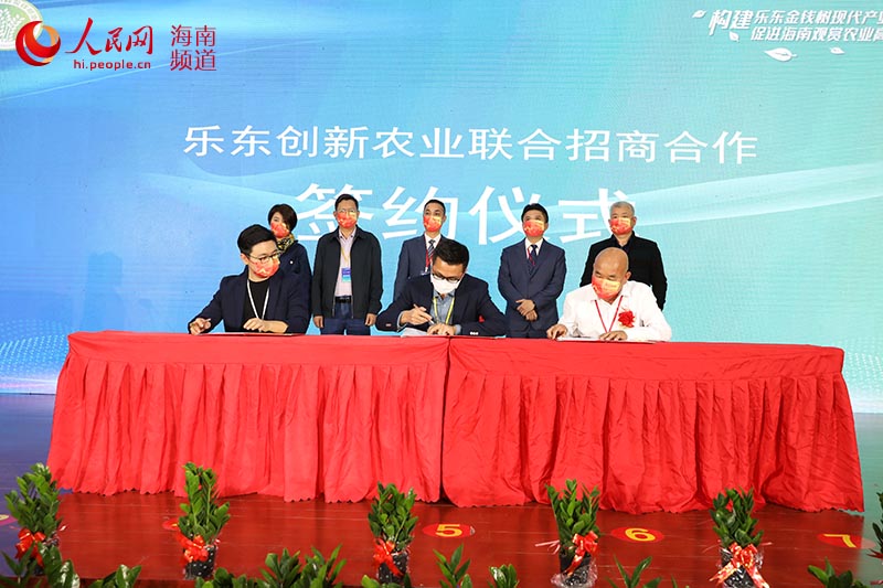 樂東創新農業聯合招商合作簽約儀式。 人民網 孟凡盛攝